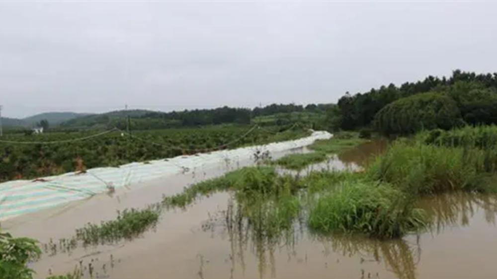 钓鱼|进入梅雨季，用好这些钓鱼绝招，越钓越惊喜