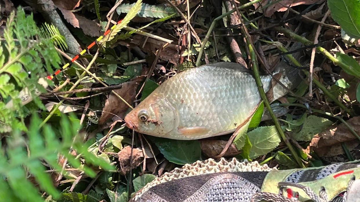 |钓鱼人的10大“老六”行为，分不清真假，容易上当