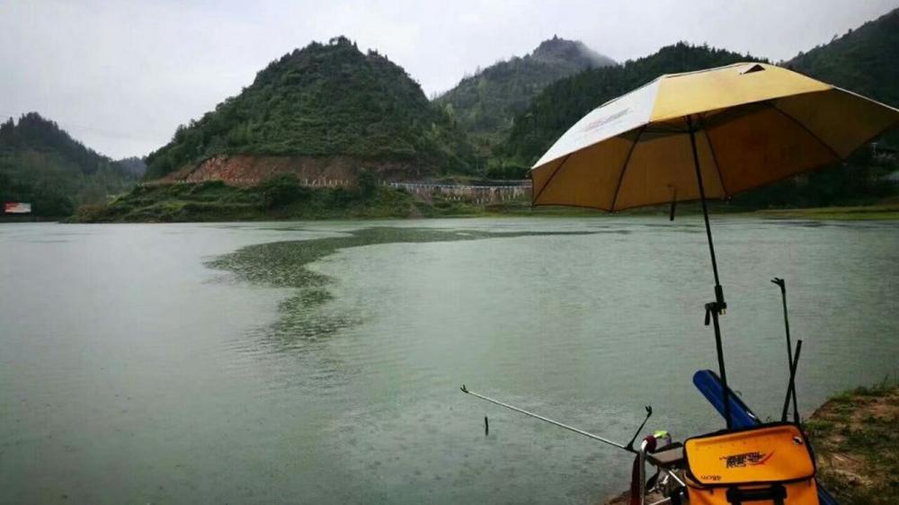 雨天如何钓鱼？记住3个核心要点，想不爆护都难