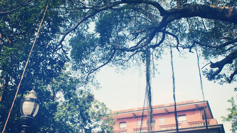 教师|大学：“铁饭碗”职业排行榜，仅供参考！