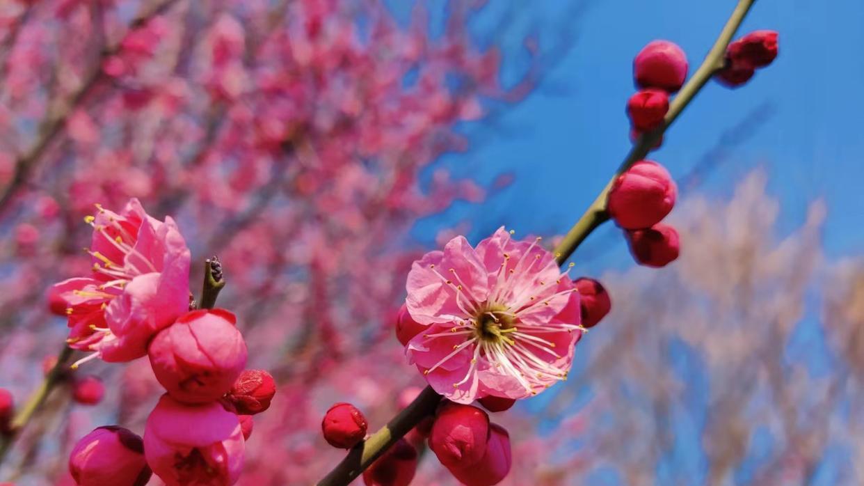 大学生|人到中年，最大的坎儿是什么？