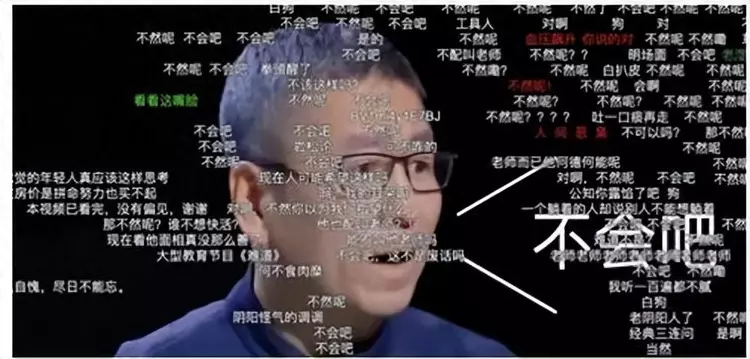 白岩松对全红婵的点评引发争议：网友表示“听来让人感觉不舒服”