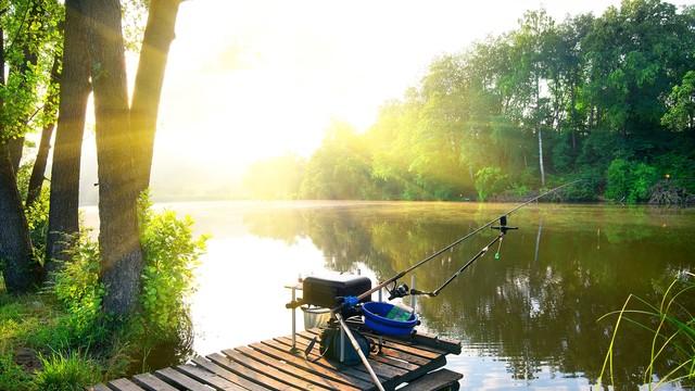 灵敏度|收杆鱼为何如此难钓？其中是否有玄学存在？悠渔乐好告诉你