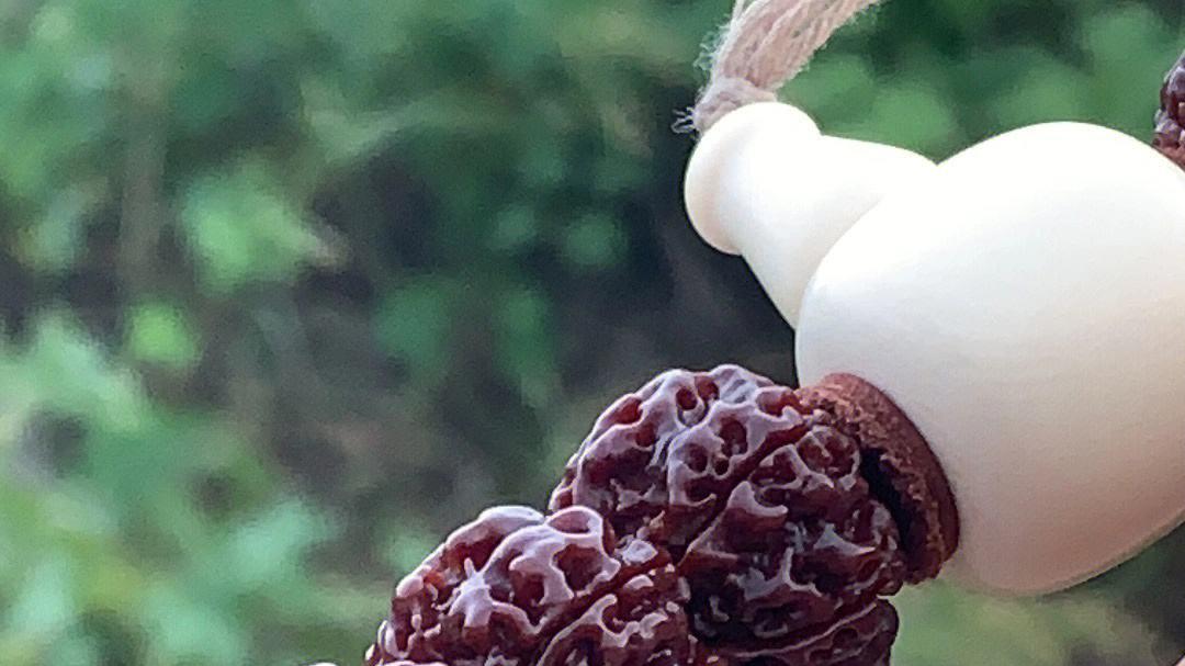 金刚菩提不包浆怎么办？你是不是这么干了！