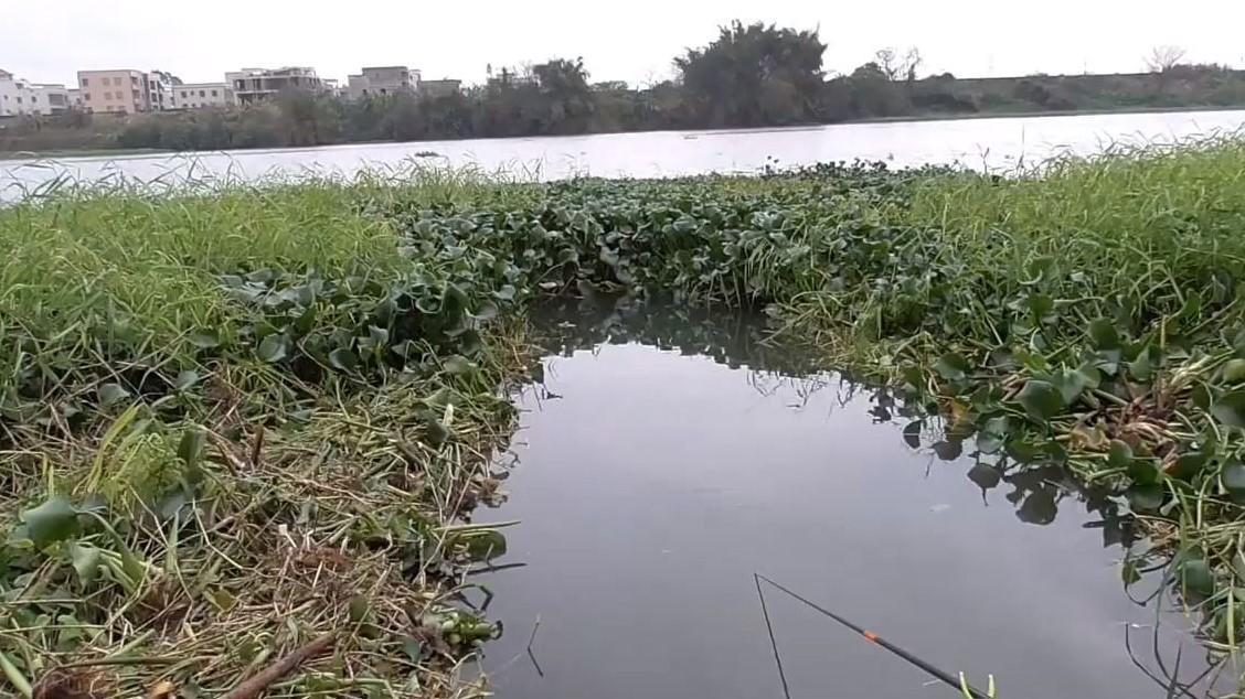 夜钓|钓鱼：调漂的4个步骤，简单调漂，一学就会