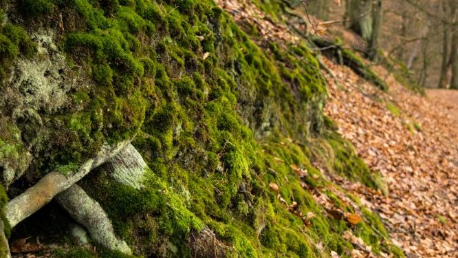 高等教育自学考试|自考学历找工作被认可吗？说说我的理解