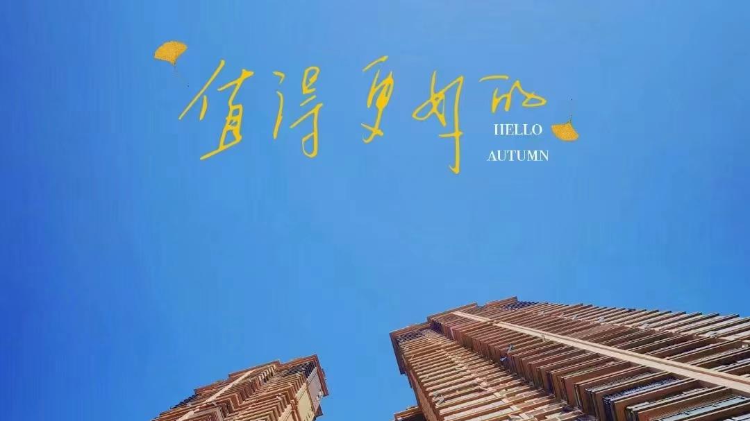 国企|我的国企生涯（一）