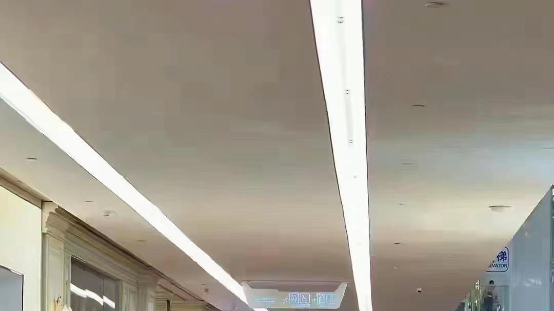 高圆圆|高圆圆现身商演阵仗大，近百人手忙脚乱迎出场，与异性挽手显亲密