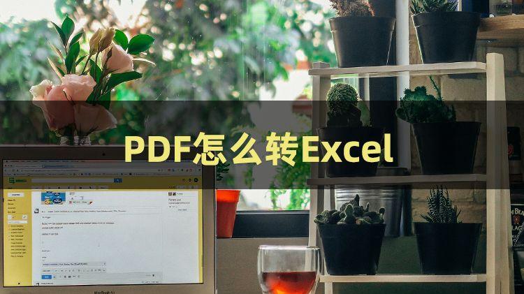 显示器|PDF怎么转Excel？三招教你怎么PDF转Excel