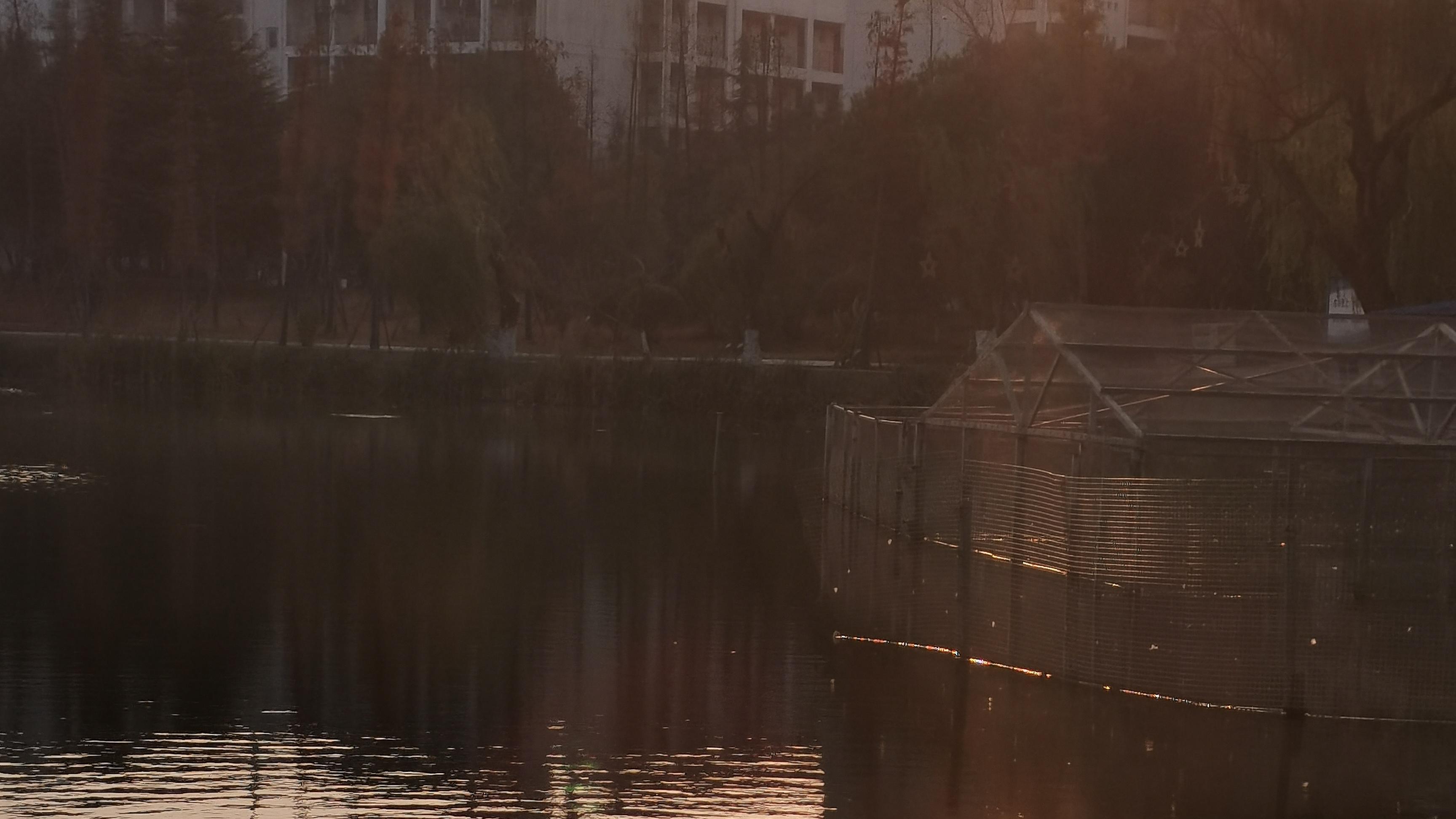 招聘|保持简单的心境，纵使年过半百，心里仍住着一个少年