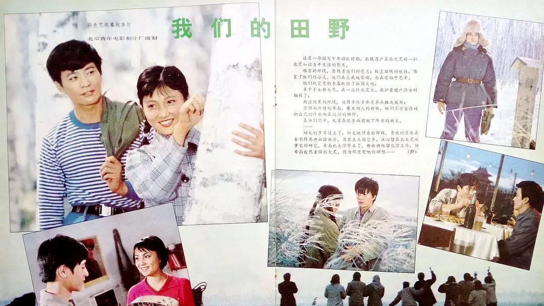 周里京|40年前一部感动无数人的电影，《我们的田野》，周里京林芳兵主演