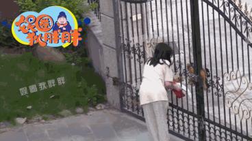 大瓜来了！又一姐弟恋实锤，女方怀孕在别墅养胎？当事人已经回应