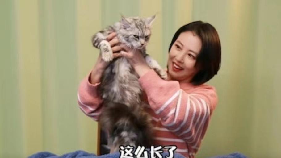 周海媚|人美心善！港知名女星晒万尺豪宅再添新宠，独居北京不婚不生