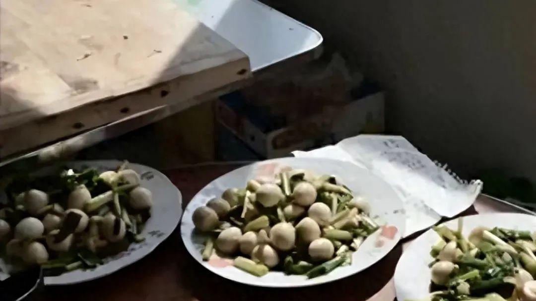 被男友泼滚烫热油，32岁女白领全身烧成炭脓烂流黑水只能绝望等死