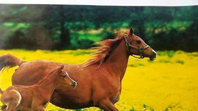 让领导瞬间高看你的10个细节