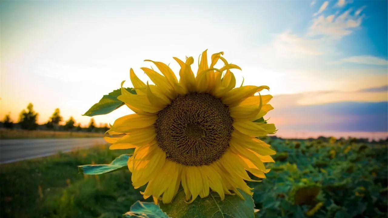 没人告诉你的人性“潜规则”：只要肯吃苦，就会吃苦