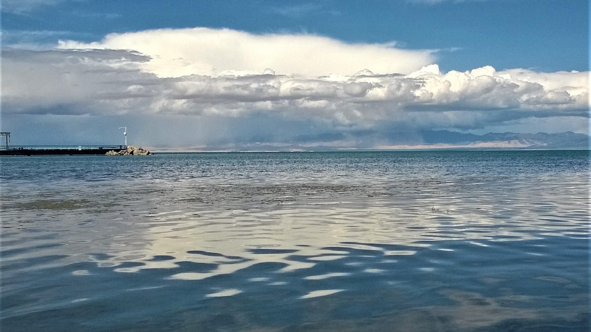 大波|和光同尘，还是同流合污？