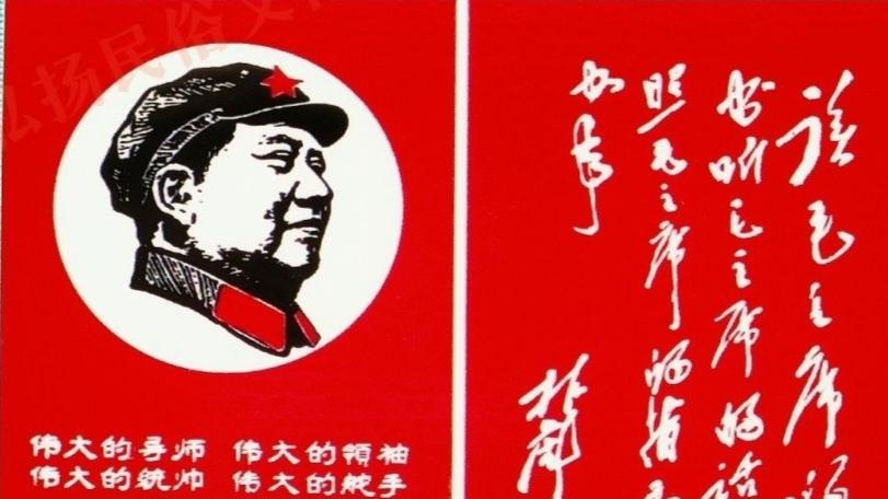 |中了书的毒