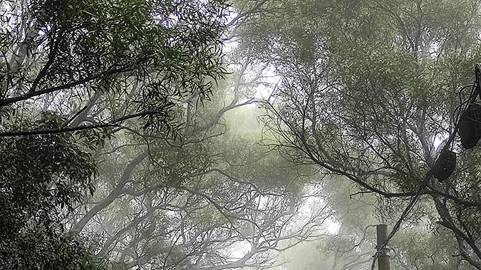 骑行|大雾天登北海市区第一峰，感觉登上了千米高峰一样