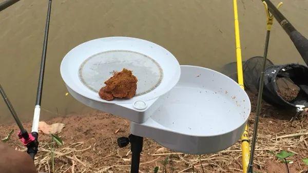 冬钓鲤鱼：我的独家秘籍