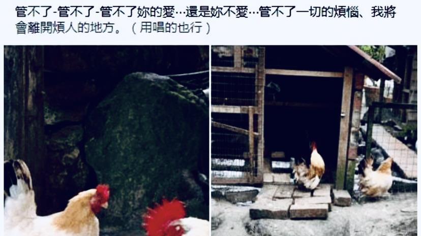 张梓琳|大S妈妈暴脾气又上来了，连甩4个“管不了”，心灰意冷想要退出战局