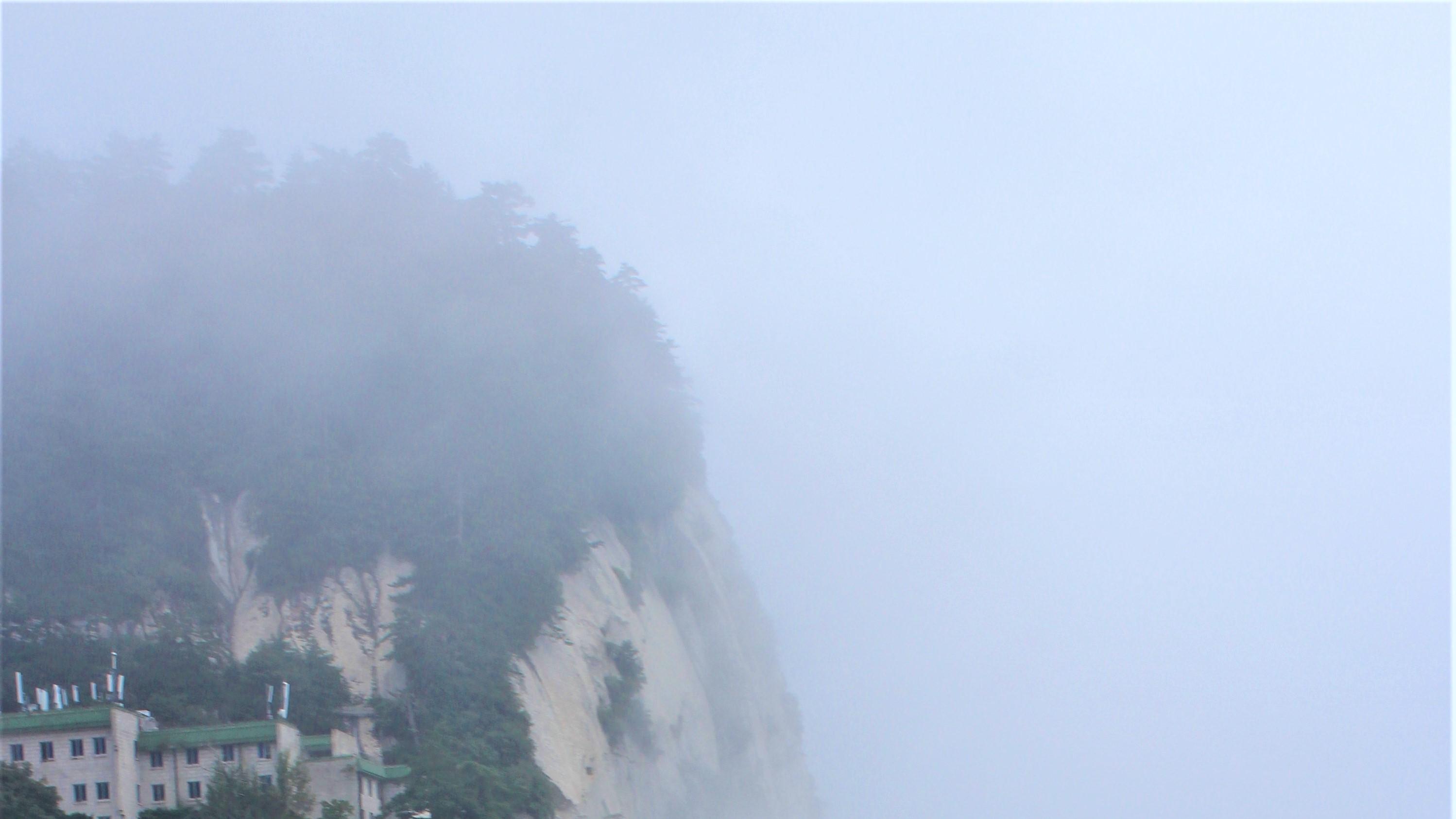 |真的想要，就去争取