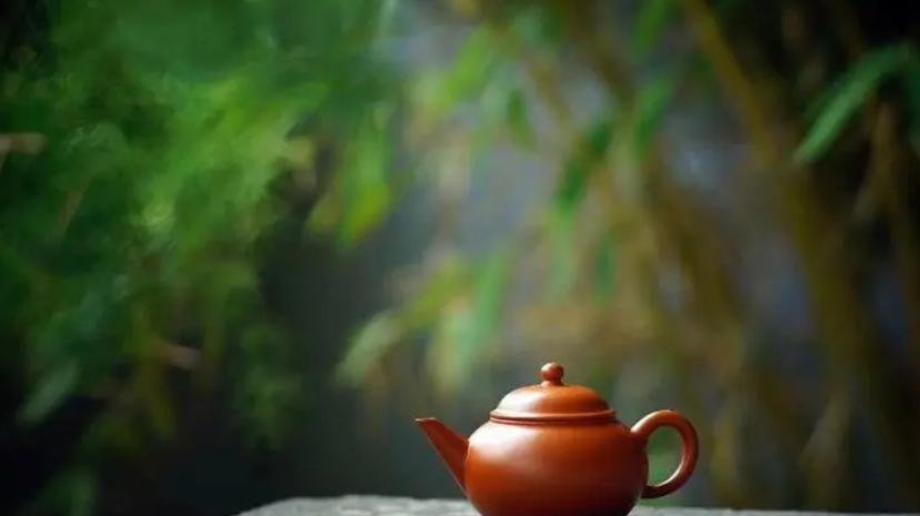 紫砂壶：泥中寻古，壶里话今