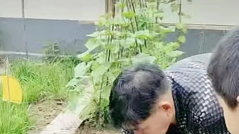 7月6日大衣哥女儿朱雪梅来菜园了，网红们难得拍到了姑娘芳容