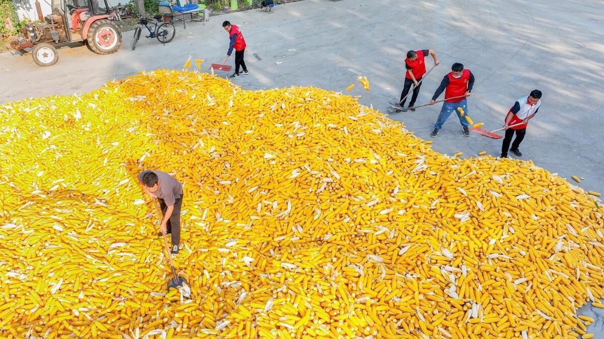 三支一扶|4月开始，三支一扶招聘将开启，满足3个条件就报名！