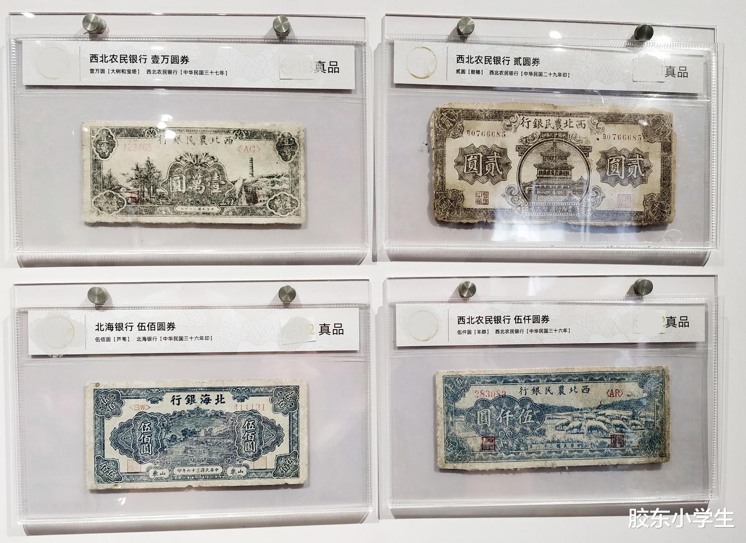 “图”说中国钱币发展史