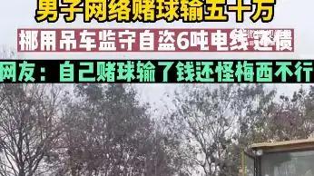 都怪梅西！男子赌球输巨款，监守自盗被抓反而怪阿根廷胜负难料