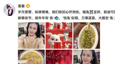 童蕾|42岁童蕾新年发文近况曝光，替入狱丈夫拍戏偿还亿元债务