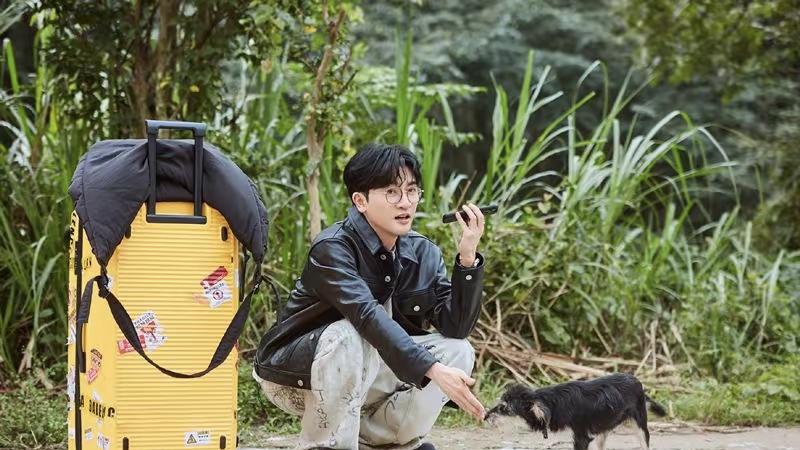 《我们的美好生活》首播惊艳！谢娜一出手，芒果台又抓到一张王炸