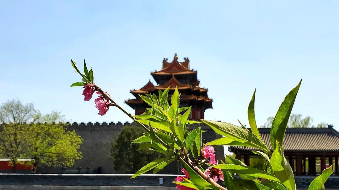 |故宫：历经沧桑的宏伟遗产，展示古代中国的荣耀与辉煌