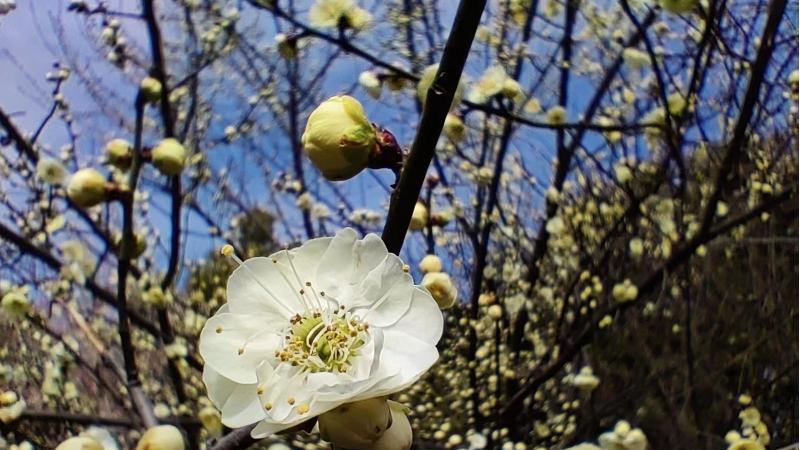 |最近的十点感受，你可能也遇到过