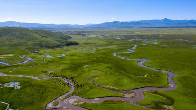 玛曲|以黄河命名的县有多牛？黄河神奇倒流800里，95%是湿地，太美了