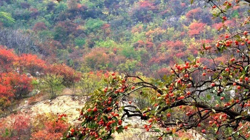 北京|10月的青龙峡，处处洋溢着秋的神韵（原创）