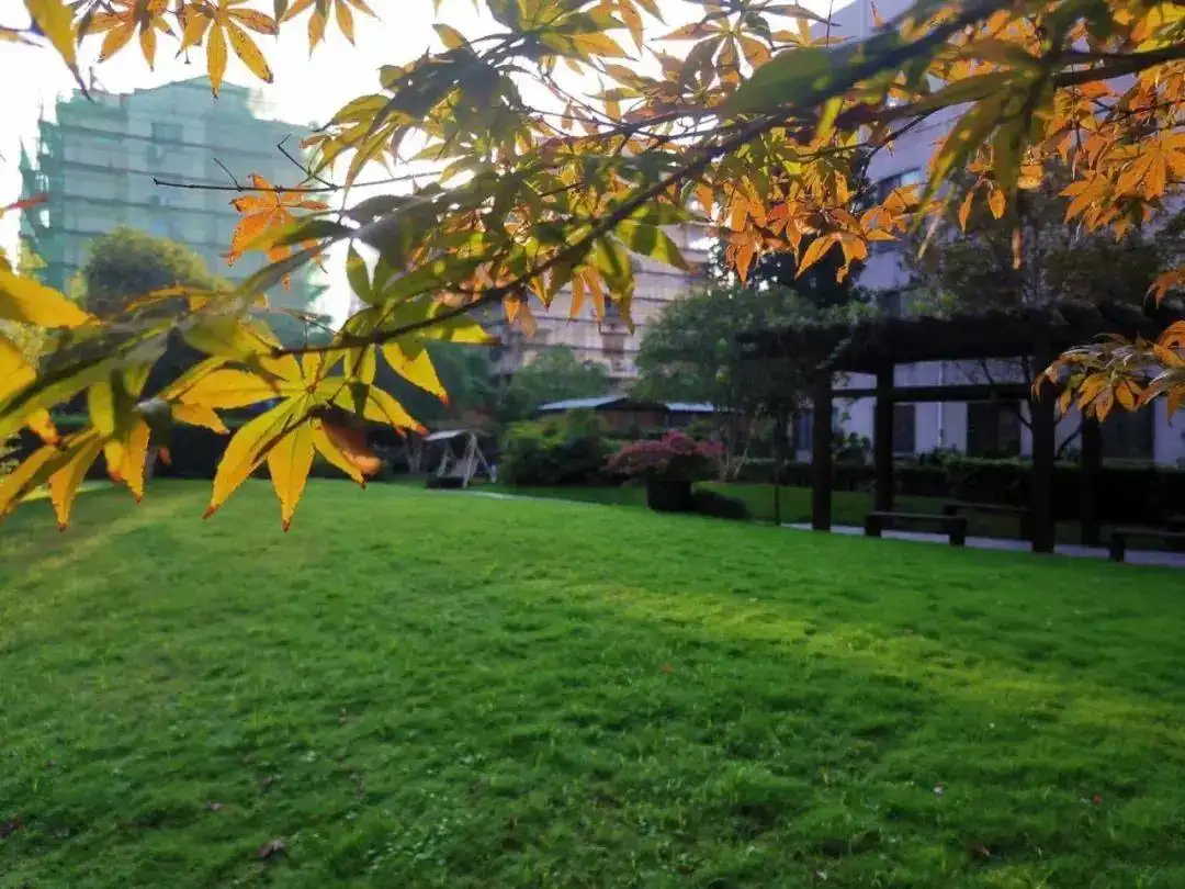 大学生|高校招聘现场招“KTV公主”？其实社会各界更该反思期望值问题