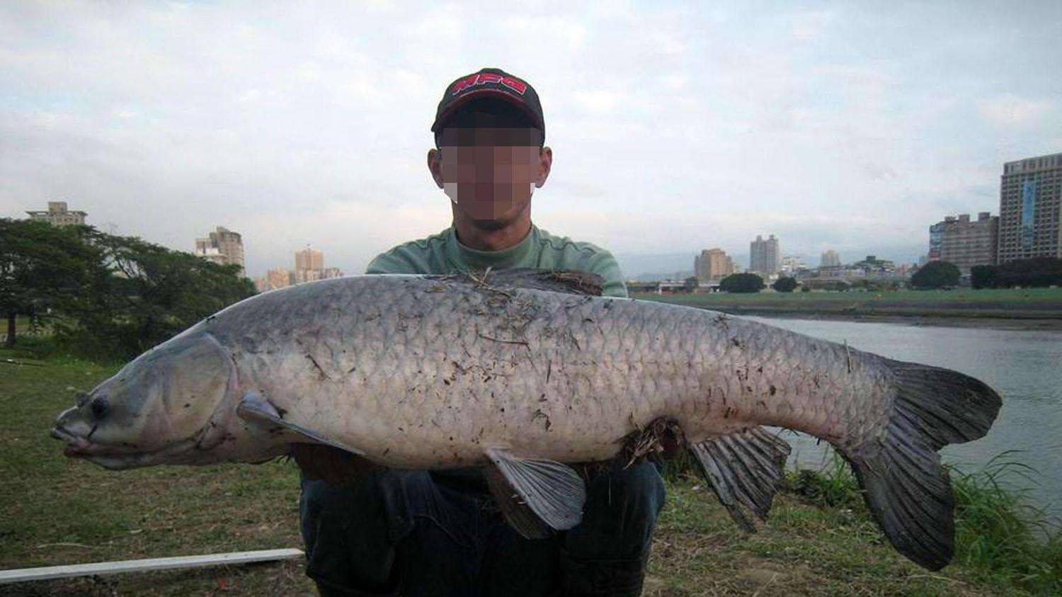 鱼竿|使用手竿钓巨物的4个秘诀，钓技越高鱼越大