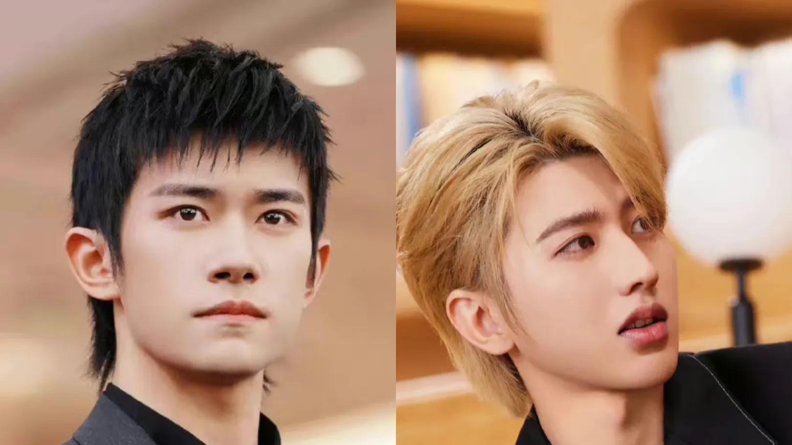 成都|你不知道的娱乐圈冷知识：包贝尔是混血儿，陈飞宇陈赫是表兄弟