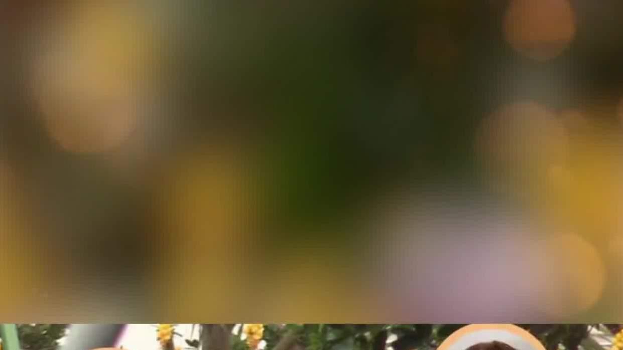 娱乐圈新CP曝光！秦岚与魏大勋同框视频曝光，已同居甜蜜度过一夜！