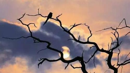 |性格是否会决定一个人的人生？