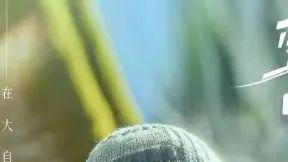 梁朝伟|梁朝伟纪录片揭秘：喝醉酒就给周星驰打电话，让他照顾好自己