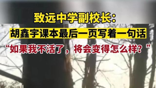 胡鑫宇|胡鑫宇真的是自己出走吗？我来说说我的观点！