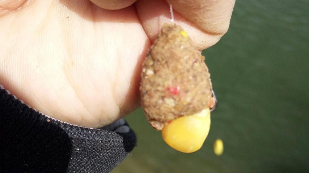 夏季钓鱼，饵料被小鱼“截杀”？试试这2种钓法