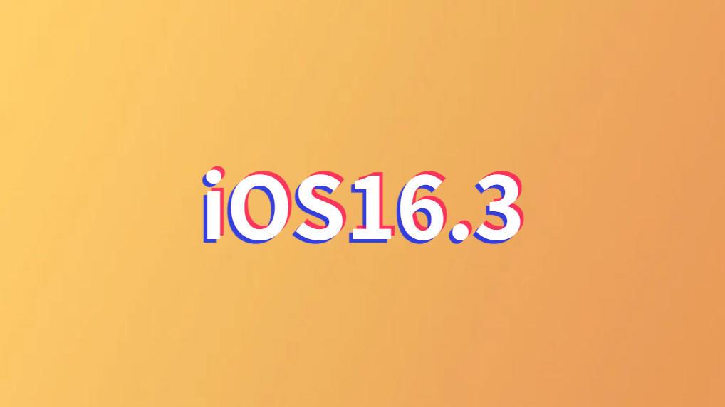 单反|iOS16.3突然发布，续航提升让我惊讶，信号满格，目前最强的版本