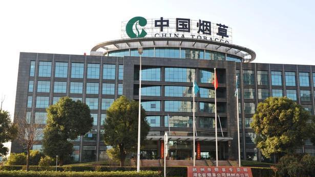 杨幂|情侣双双入职烟草公司，发出的薪资明细让人羡慕，年终奖属实可观