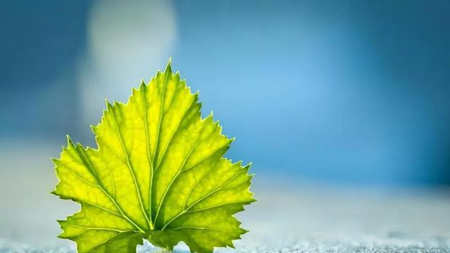 退休|退休以后，最聪明的活法是：三不