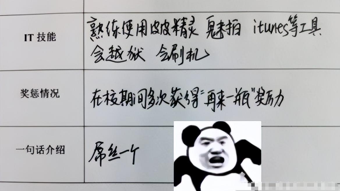 大学生|00后大学生对简历“下手了”，会刷机也算技能？简直不要太离谱