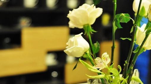 占卦，找工作顺利吗